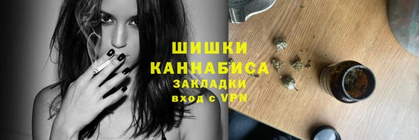 Альфа ПВП Аркадак