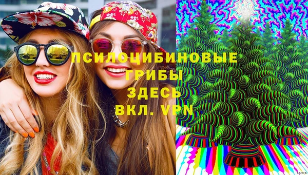 экстази Арсеньев