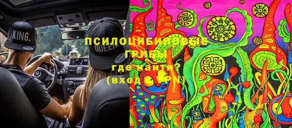 Альфа ПВП Аркадак