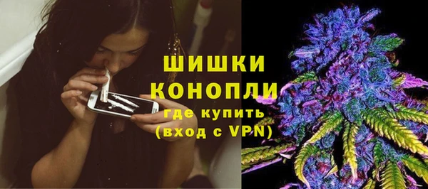Альфа ПВП Аркадак