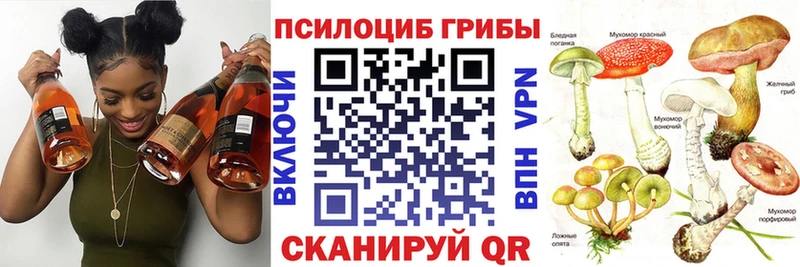 наркотики  Бежецк  МЕГА ТОР  Галлюциногенные грибы мицелий 